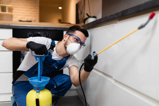 Best Mosquito Control Services  in New Lenox, IL