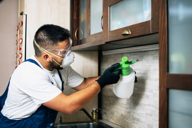 Reliable New Lenox, IL Pest Control Solutions