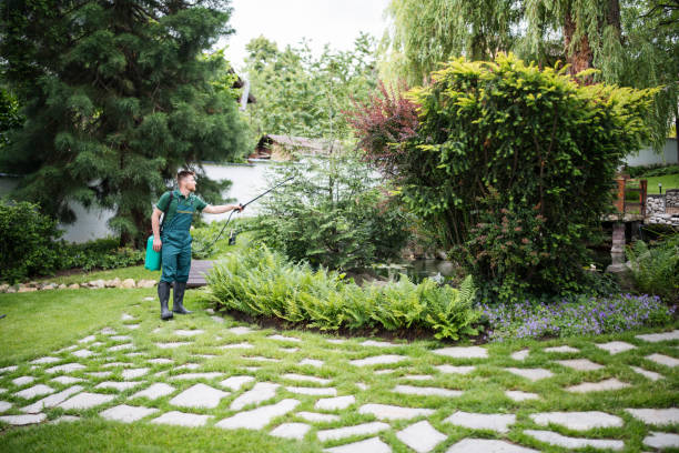 Best Insect Control  in New Lenox, IL