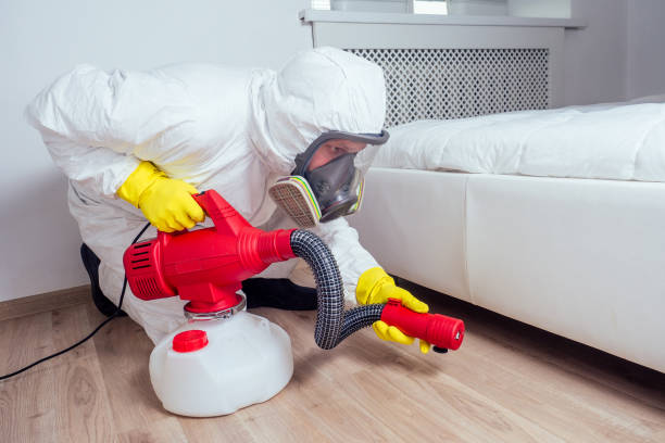 Wildlife Control Services in New Lenox, IL
