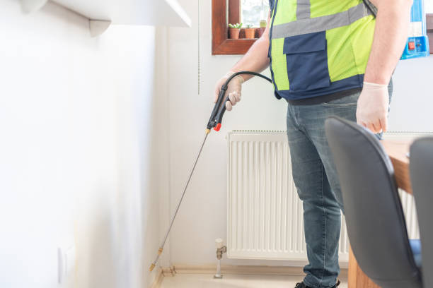 Best Rat Extermination Near Me  in New Lenox, IL