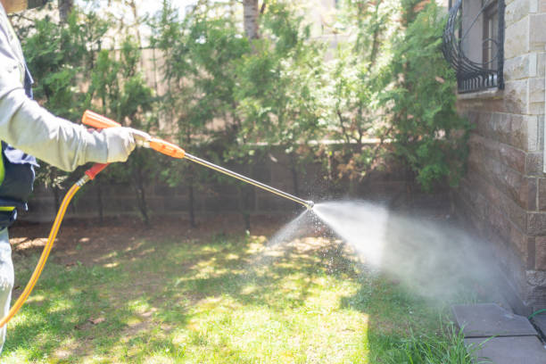 Best Pest Removal Services  in New Lenox, IL