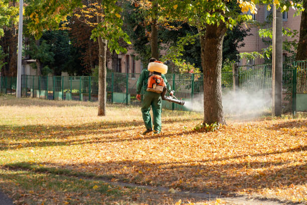 Trusted New Lenox, IL Pest Control Experts