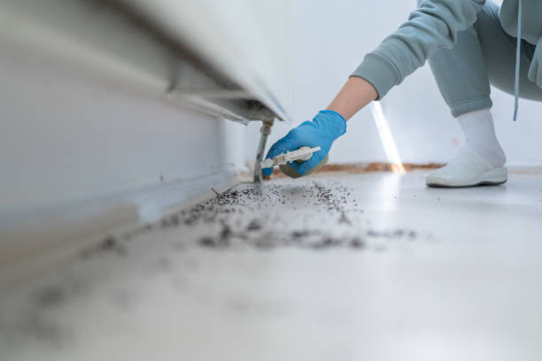 Best Pest Control Treatment  in New Lenox, IL
