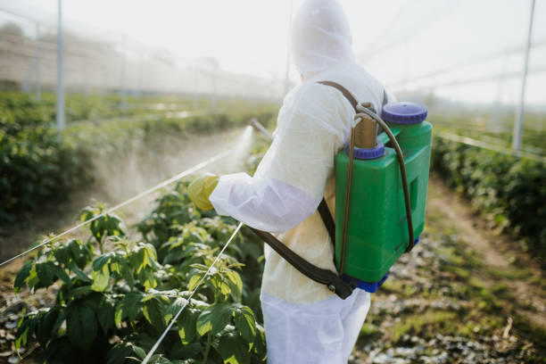 Best Residential Pest Control  in New Lenox, IL